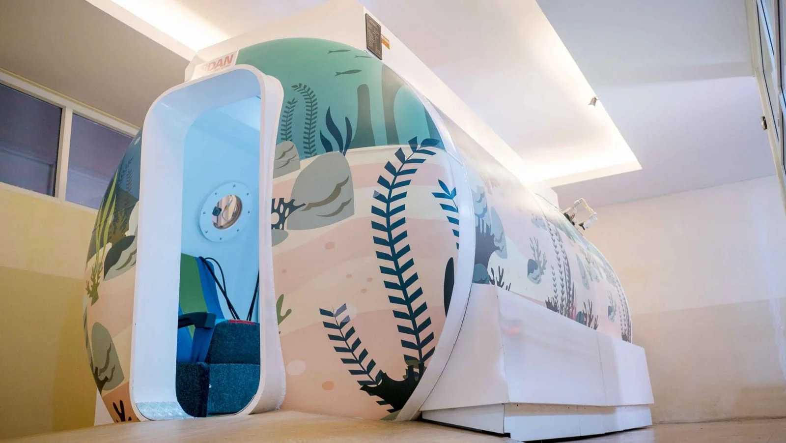 Multiplace hyperbaric chamber at Kasih Ibu Hospital Saba in Gianyar, Bali, painted with a reef mural and carrying the DAN logo