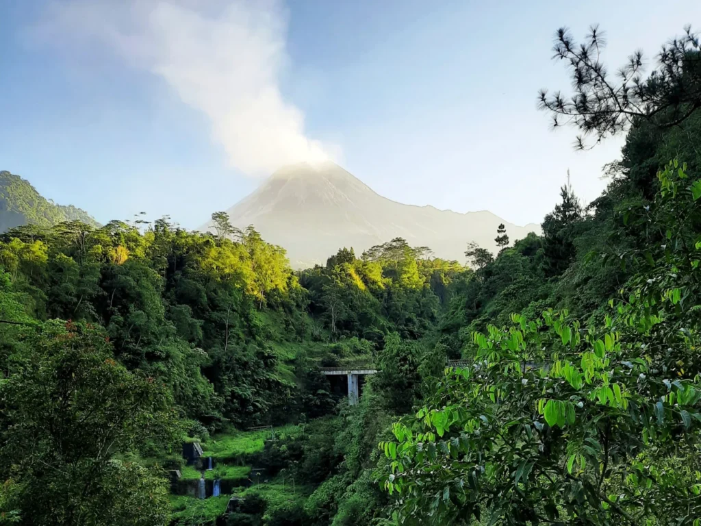 Mount Merapi above the pine forest at Plunyon Kalikuning