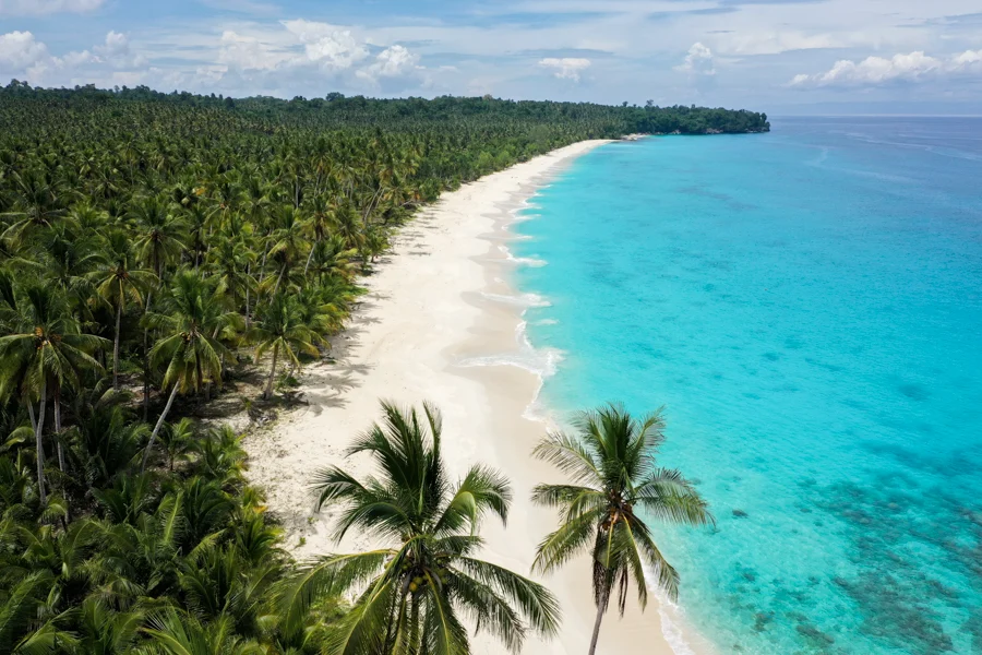 Long white sand beach lined with palms, seen from above