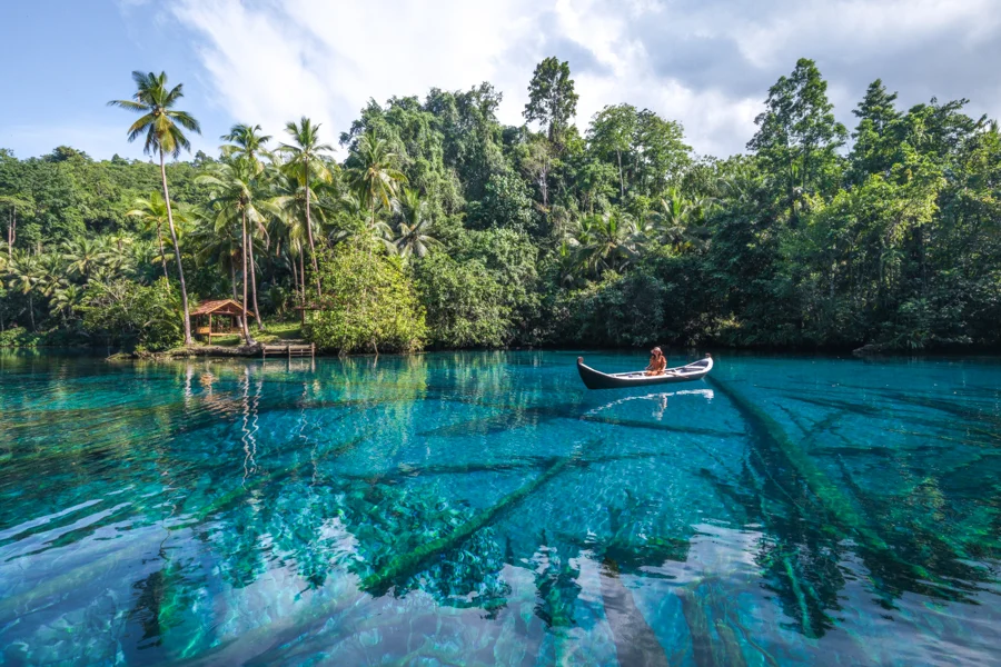 Wooden canoe on the clear water of Paisu Pok Lake on Peleng, with sunken logs on the lake bed and palms on the shore