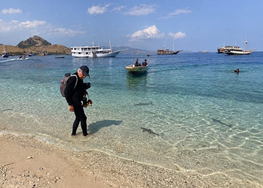 Wading in the shallows at Kelor Island, where young reef sharks swim