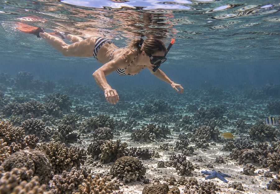A snorkeler over a shallow coral reef at Doropeti, Sumbawa